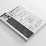 Professional Indesign Resume