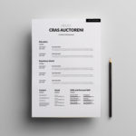 Simple Clean CV