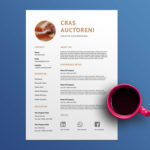 Creative Chocolate Resume