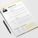 Clean Trendy Resume