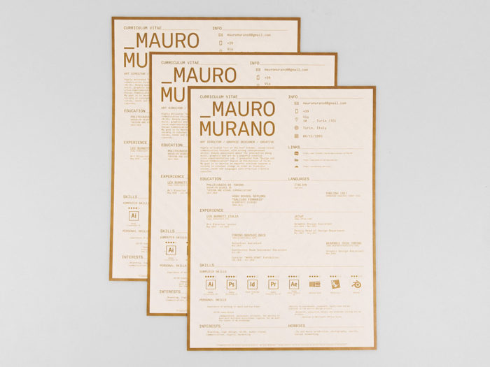 Starter Resume Free Illustrator - Free Classic Infographic Resume 700x525 