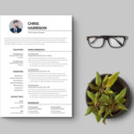 Simple Curriculum Vitae