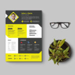 Clean Designer CV