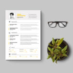 Clean Corporate Resume