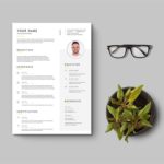 Simple Universal Resume