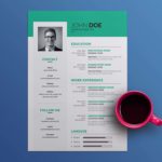 Simple Vector Resume