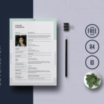 Universal Indesign Resume