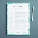 Packaging Designer Resume