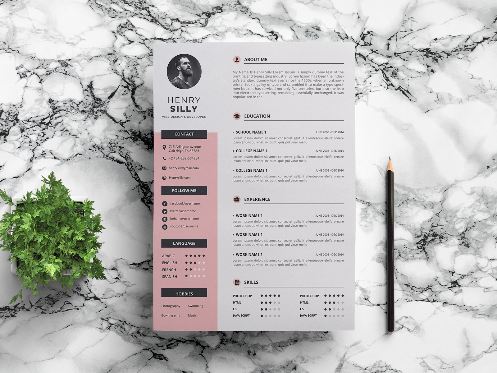 Free Modern Vector CV/Resume Template with for your Job Interview