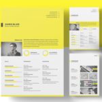 Multifunctional Resume Template