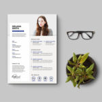 Clean and Fresh Resume