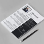 Actuary  Resume Template