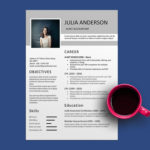 Audit Accountant Resume Template