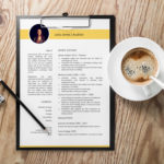 Auditor Resume Template