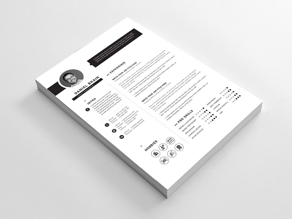 Free Chief Executive Resume Template with Professional Design