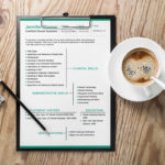 Dental Resume Template