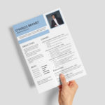 Insurance Specialist Resume Template