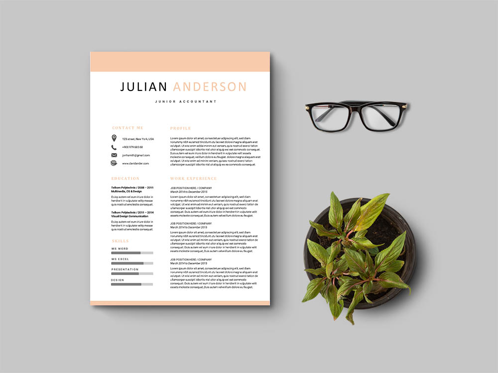 Free Junior Accountant Resume Template