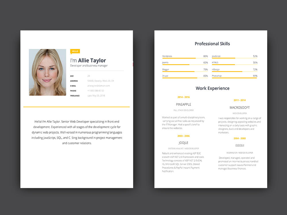 Modern Resume Template