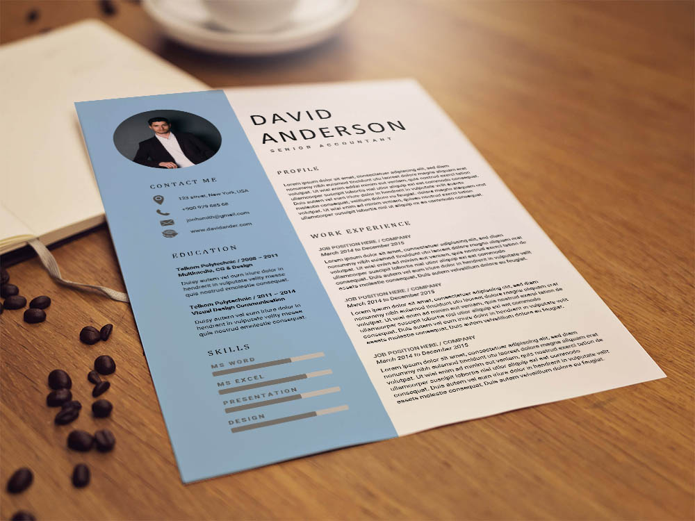 Free Senior Accountant Resume Template with Clean Look