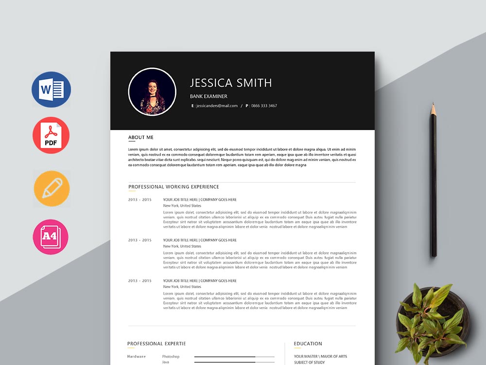 Free Bank Examiner Resume Template