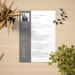 FX Artist Resume Template