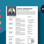 Business Intelligence Manager Resume