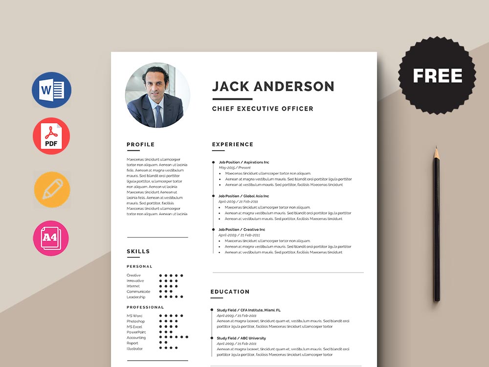 Free Chief Executive Officer CEO Resume Template With Simple Look