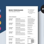 Chief Investment Officer Resume