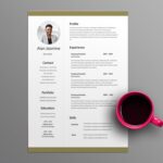 News Editor Resume