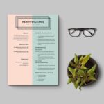 Advertising Manager CV Template