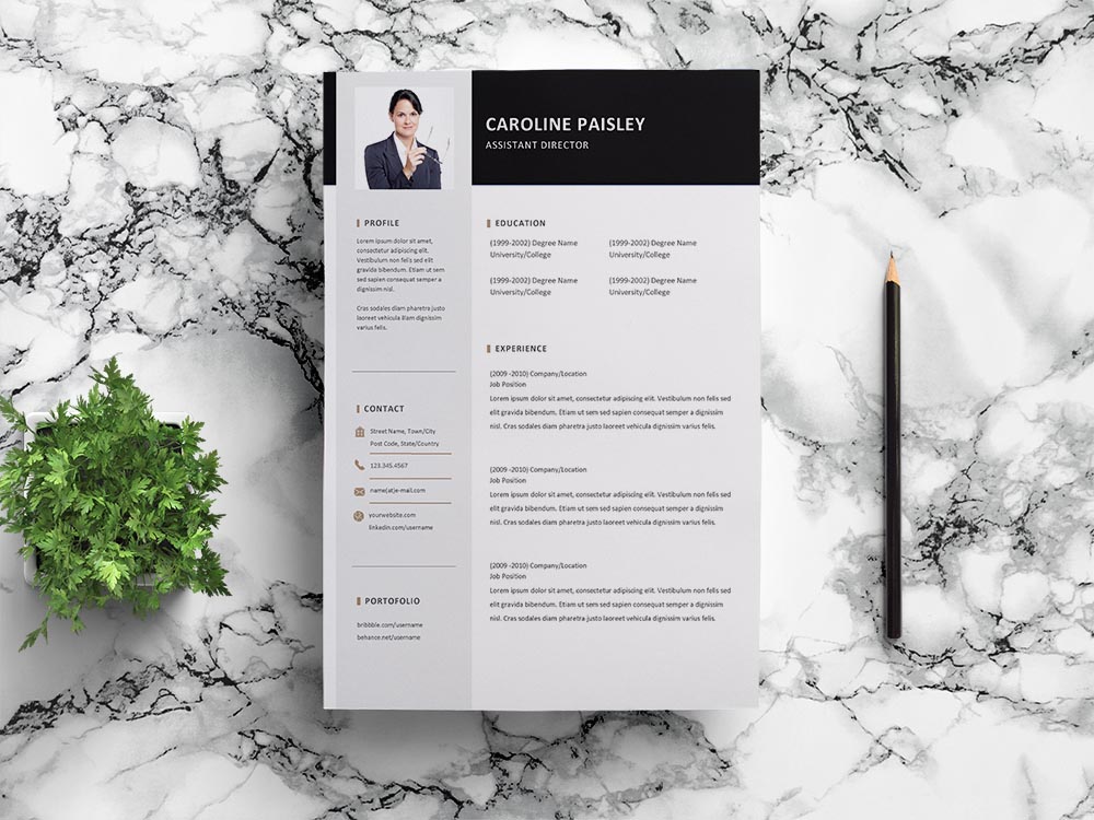 Free Assistant Director Resume Template