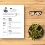 Photojournalist Resume Template