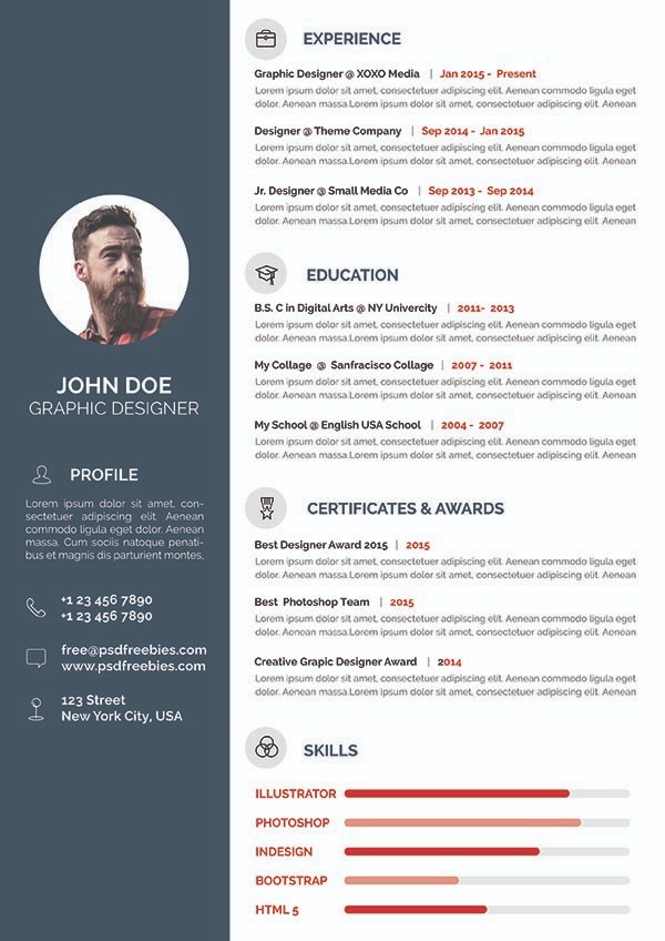 Free Professional Resume CV Resume Template 