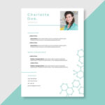 Scientific Resume Template