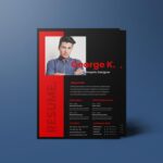 Stylish Minimalism Curriculum Vitae