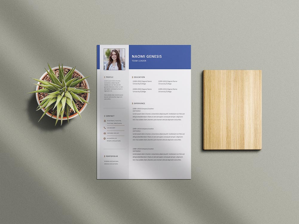 Free Team Leader Resume Template