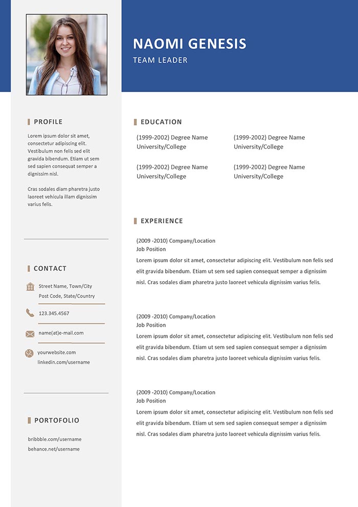 Team Leader Resume