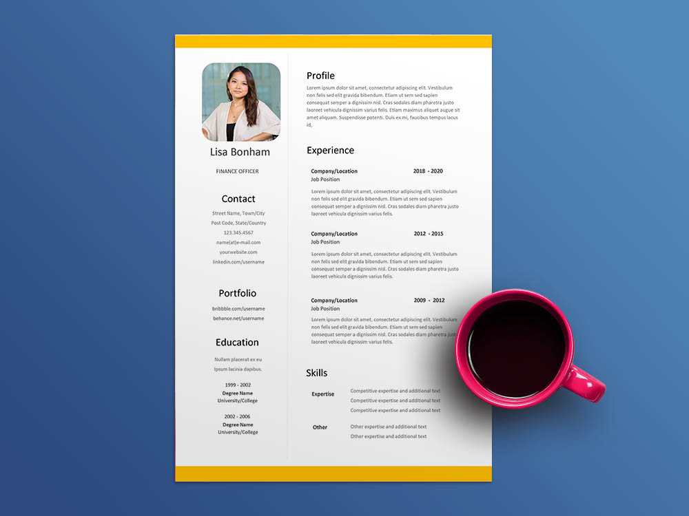 Free Finance Officer Resume Template