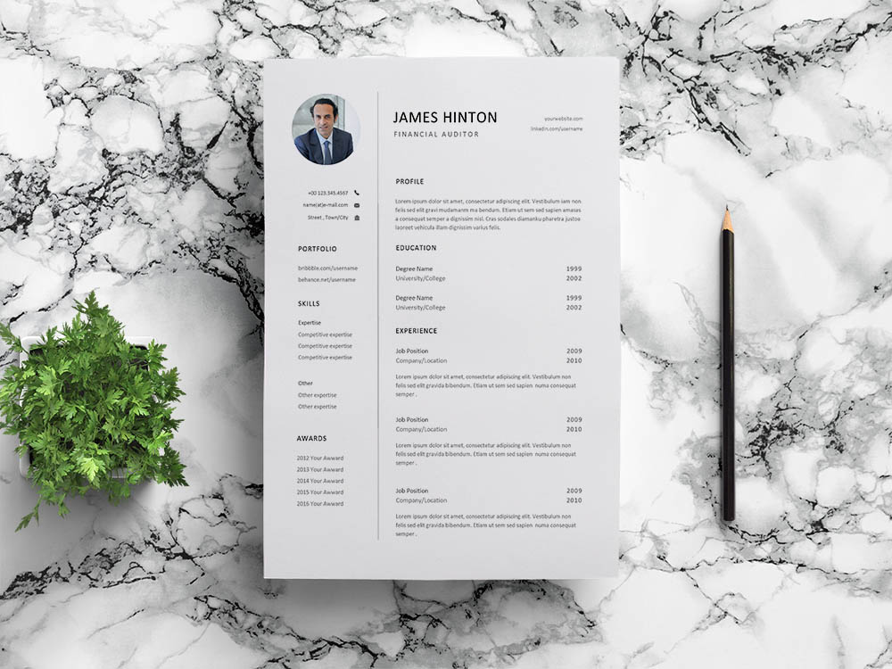 Free Financial Auditor Resume Template
