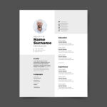 Professor Resume Template