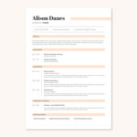 Simple Nurse CV Resume