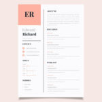 Vector Chronological Resume