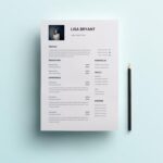 Account Manager Resume Template