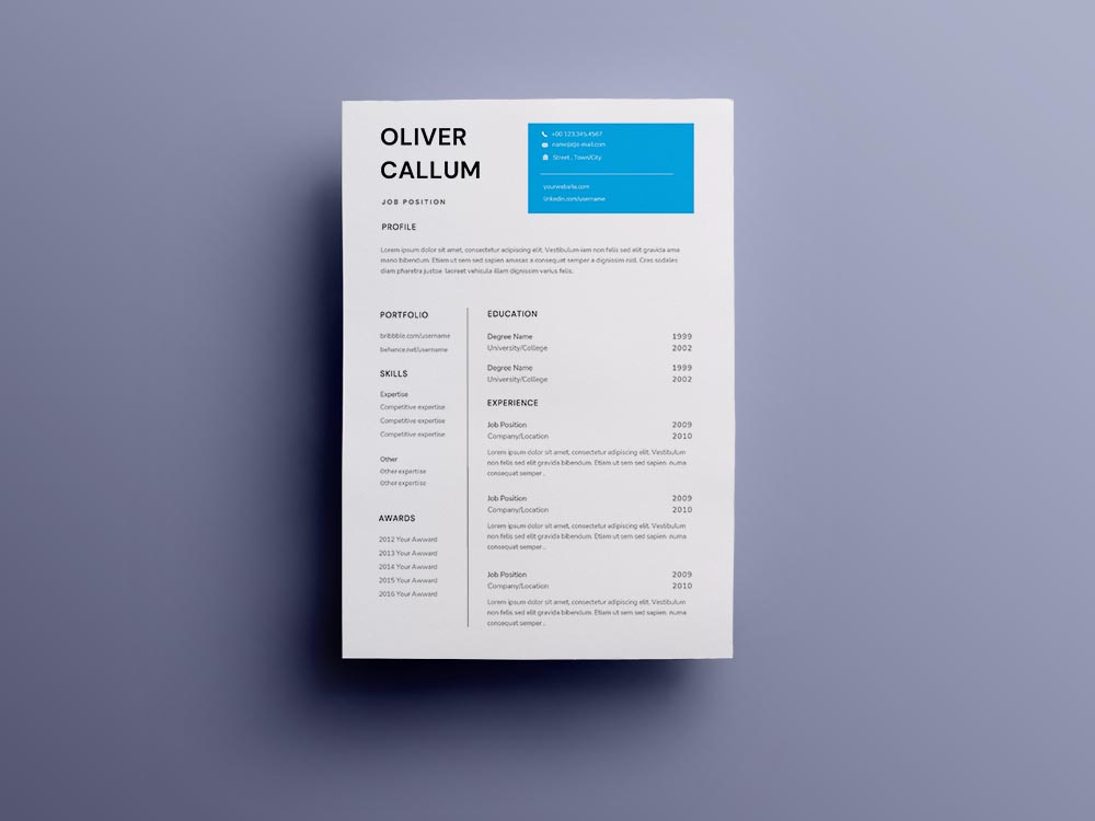 Free Accounting Controller Resume Template