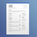 Accounting Specialist Resume