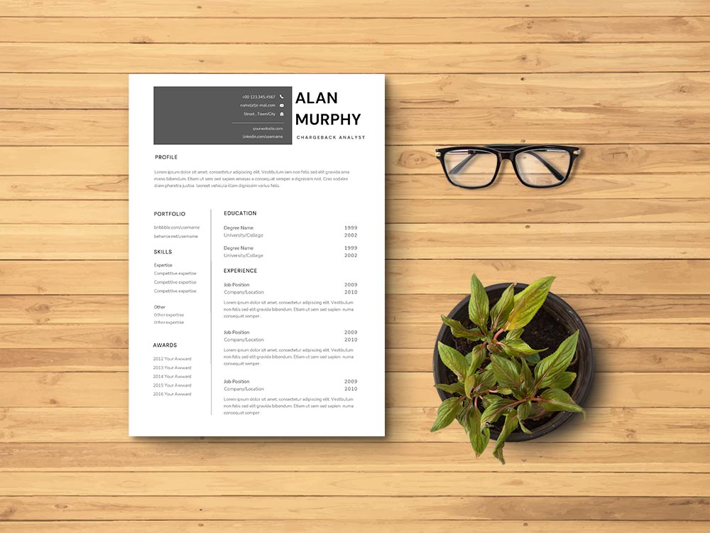 Free Chargeback Analyst Resume Example Template
