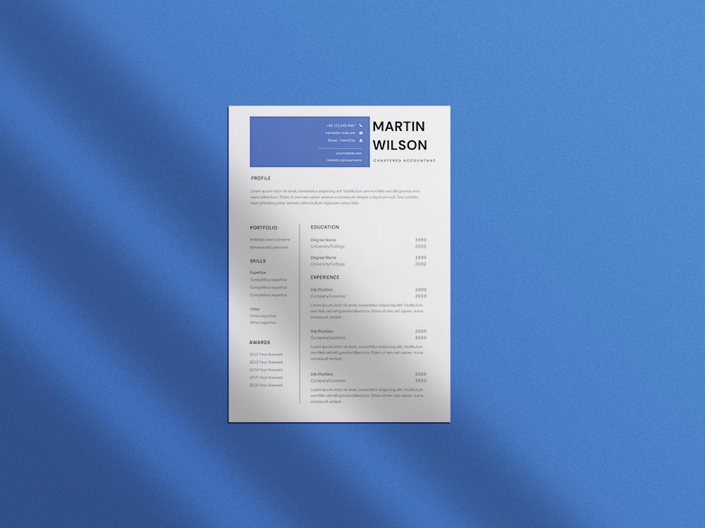 Free Chartered Accountant Resume Example Template