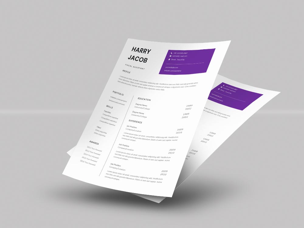 Free Fiscal Assistant Resume Example Template