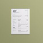 Fixed Asset Accountant Resume